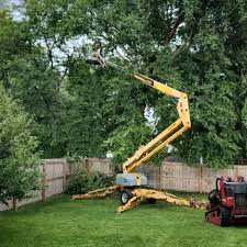 Best Tree Removal  in Mead, WA